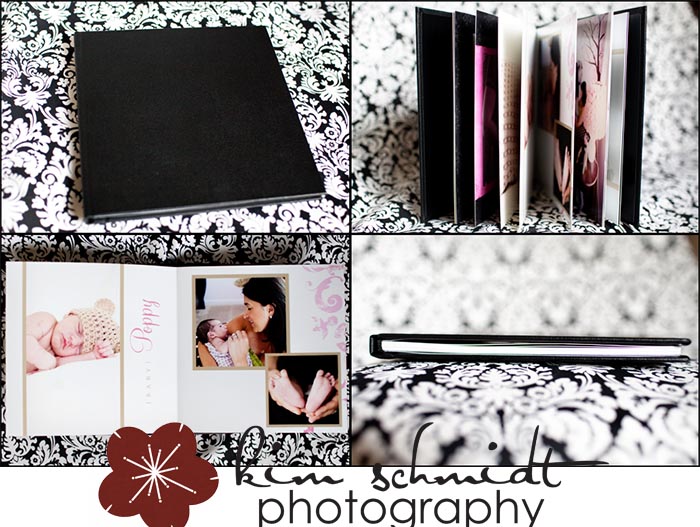 princeton family photographer, princeton child photographer, princeton newborn photographer